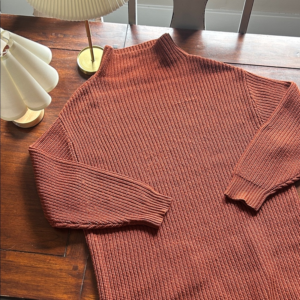 Wilfred Montpellier Knit Sweater Dress - Aritzia - 100% Wool